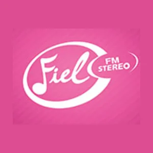 Stereo fiel Fm