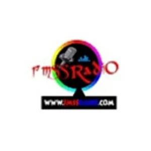Fmss radio