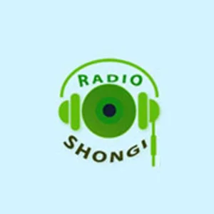 Radio shongi