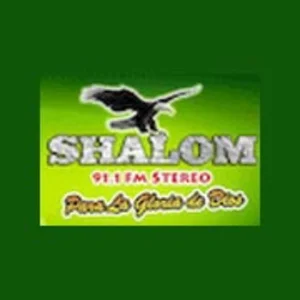 Shalom 91.1 Fm