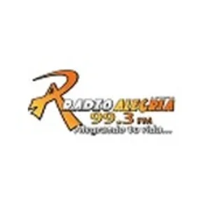 Radio Alegria 99.3 Fm