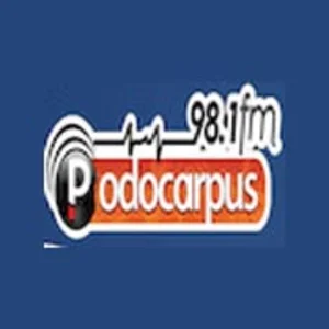Podocarpus Fm