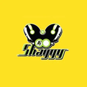 Dj Shaggy Venezuela