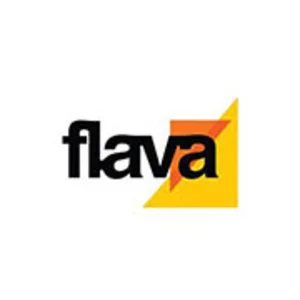 Flava 95.8 fm